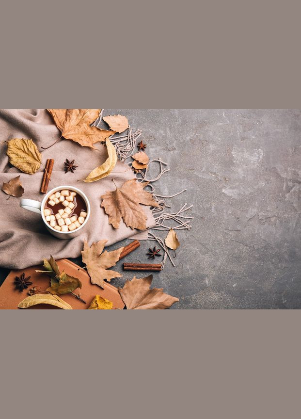 Виниловый фотофон 90x60см, Frontlit 450 г/м2 №56032 PhotoVinyl (354378745)