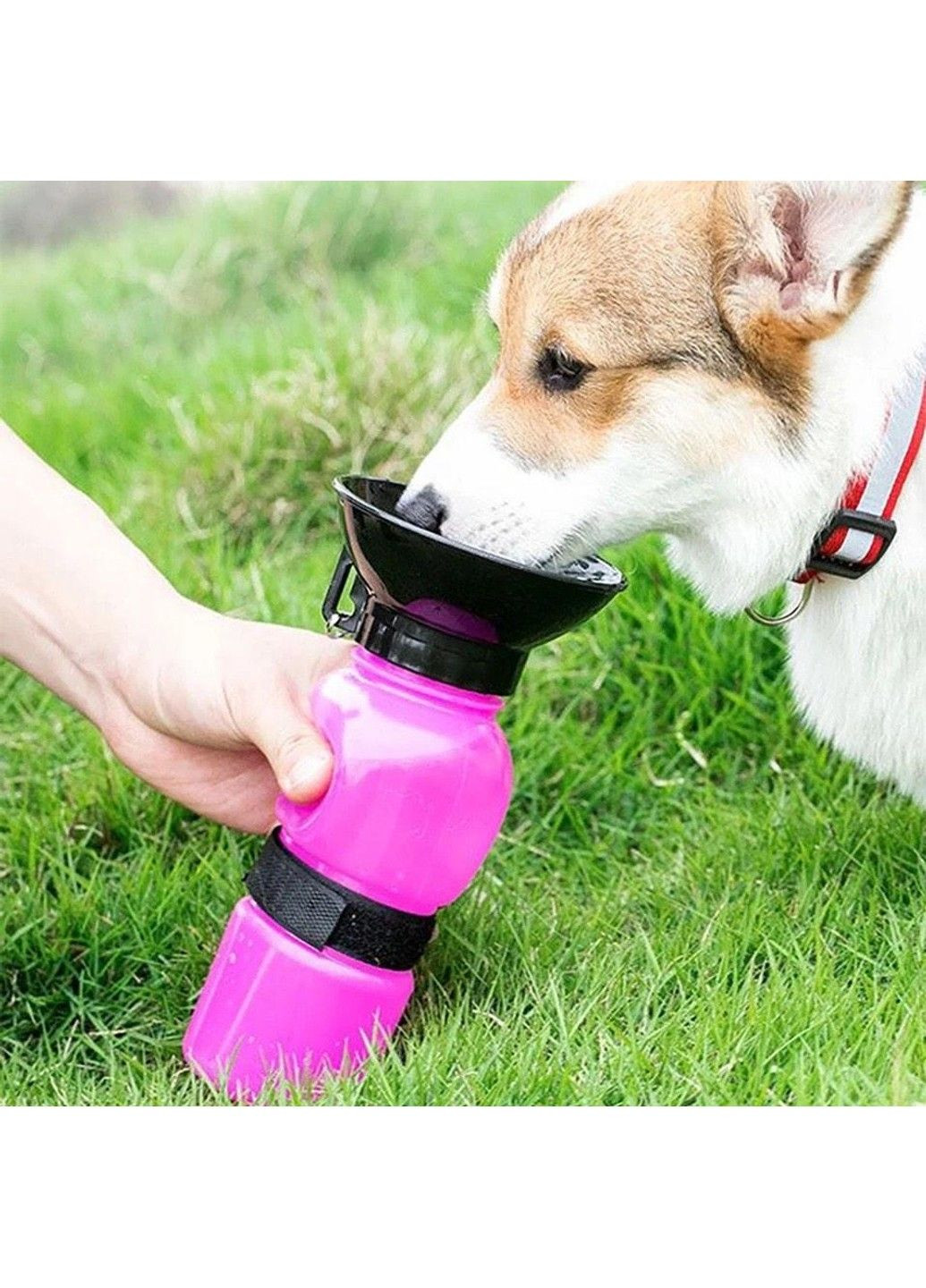 Дорожня портативна поїлка "ARCHI" для собак прогулянкова пляшка з чашею для води Pink Xtep (319664463)