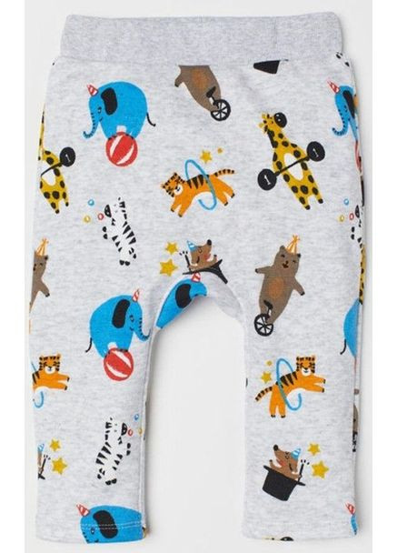 Штани H&M (364828407)