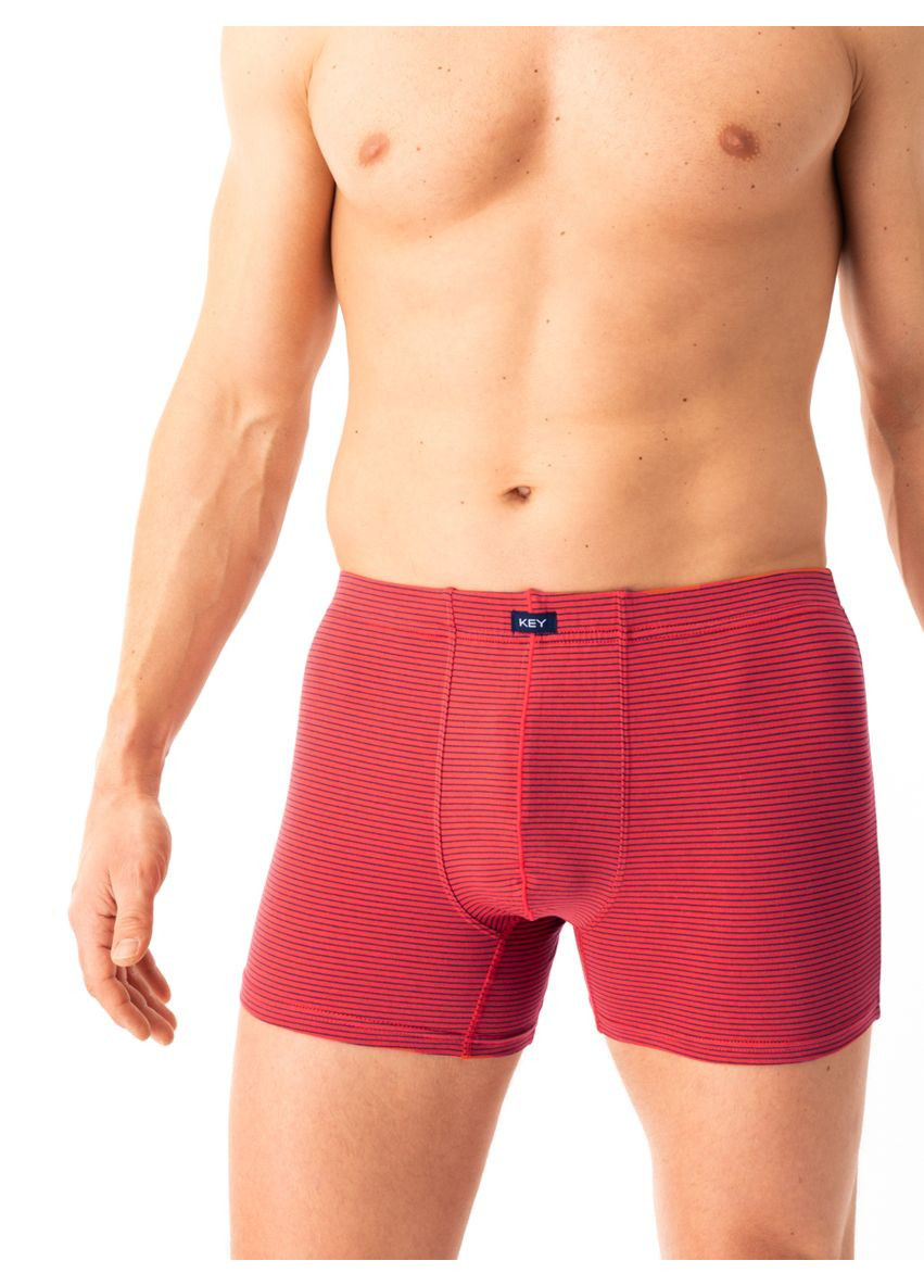 Мужские трусы шорты Key (348057001)