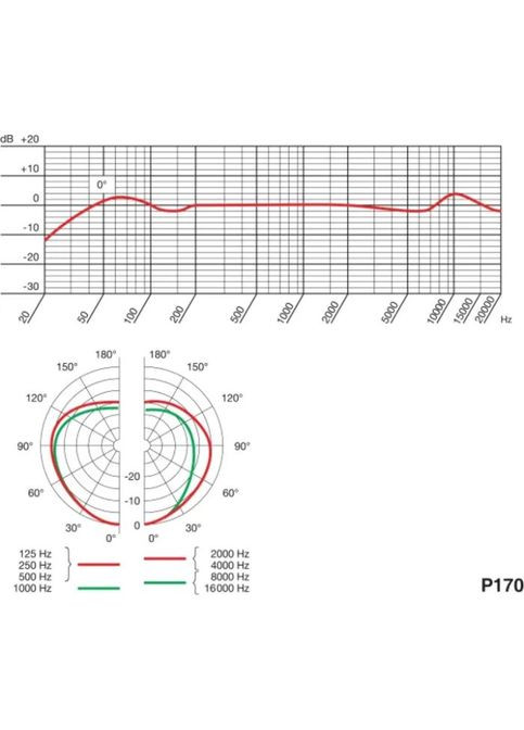 Мікрофон (3101H00410) AKG P170 (356149978)