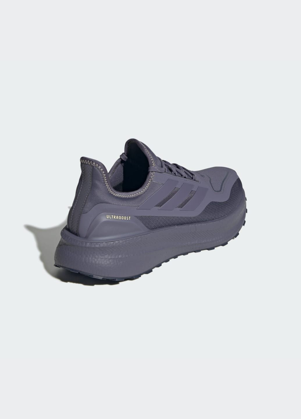 Фіолетові Літні кросівки ultraboost light 2.0 gore-tex® adidas