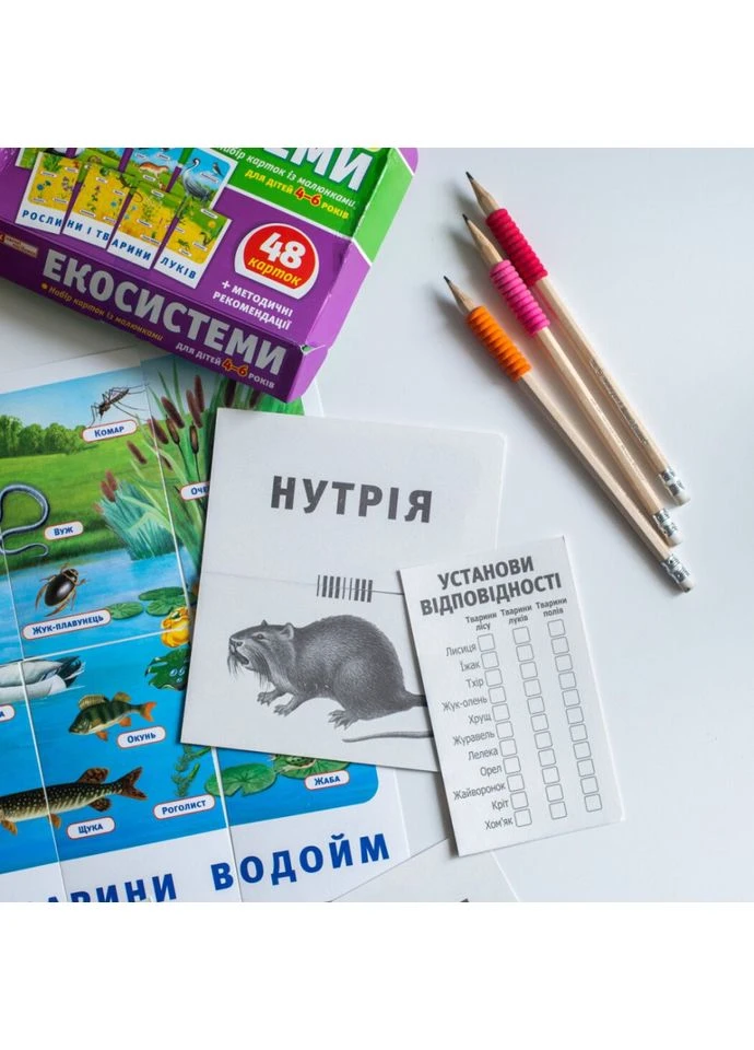 Набор тематических карточек "Экосистемы" 13169003 для детей 4-6 лет No Brand (386619889)