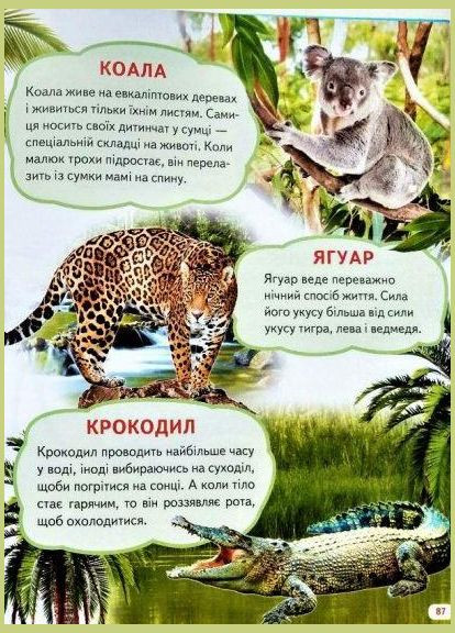 Велика книга знань для малюків подарункова збірка - абетка, лічба, тварини, динозаври, атлас світу, Пегас (316084231)