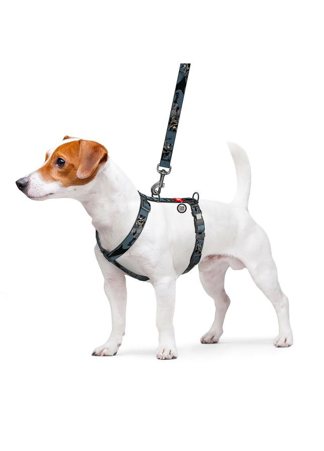 Шлея для собак Nylon з QR-паспортом, малюнок "Тінь Бетмена", XL, Ш 25 мм, А 60-100 см, В 68-100 см WAUDOG (332256886)