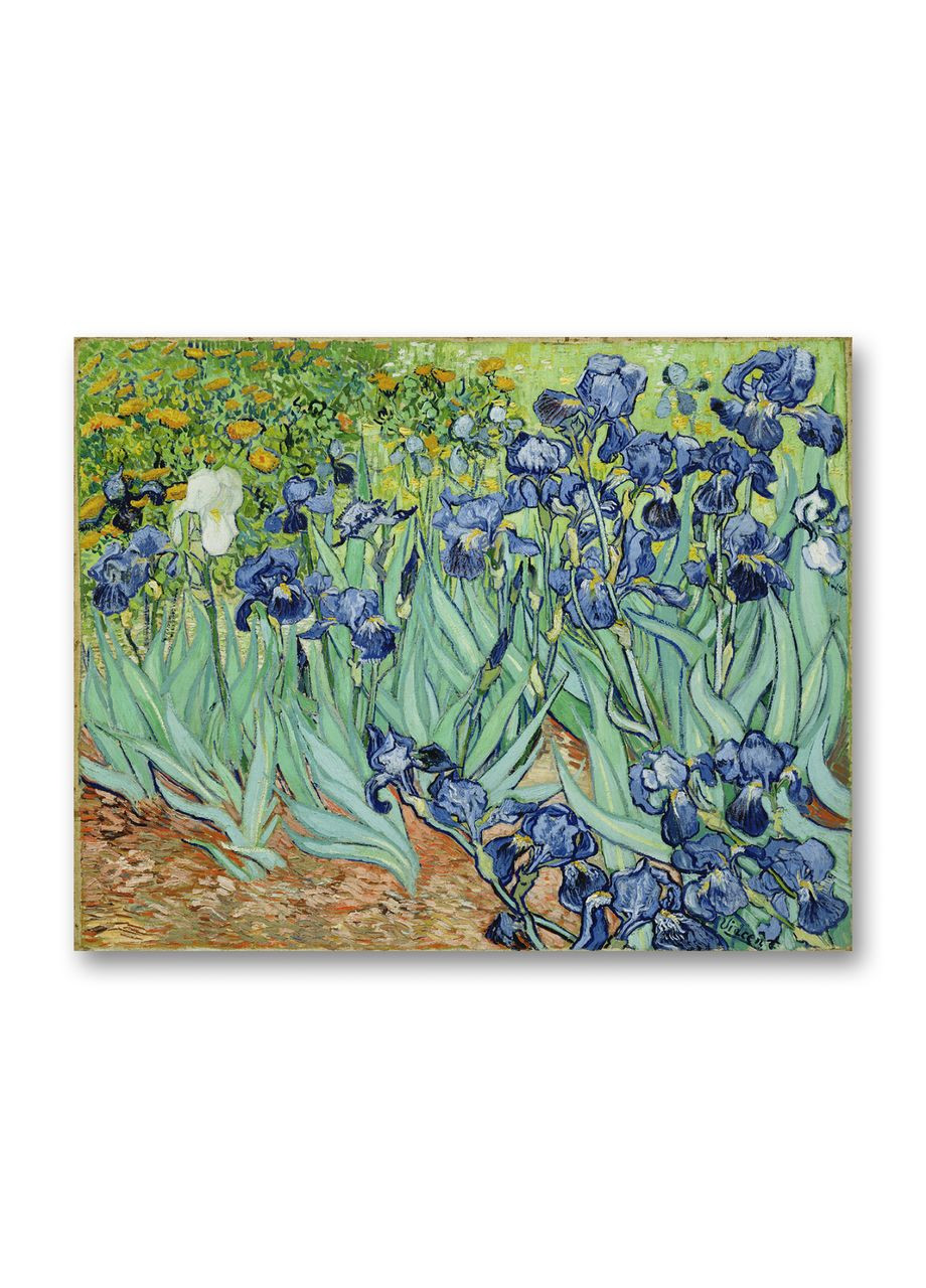 Печать на холсте Ирисы Винсент ван Гог 60x90 No Brand (346494315)