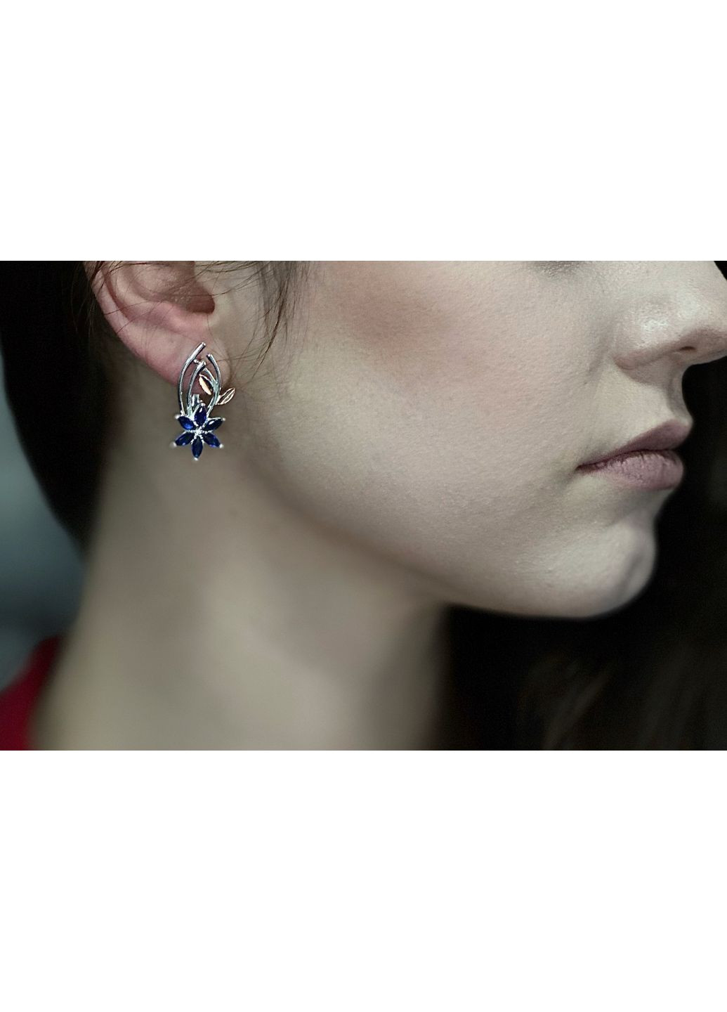 Срібні сережки з альпінітом і вставками золота Family Jewelry House (358203161)