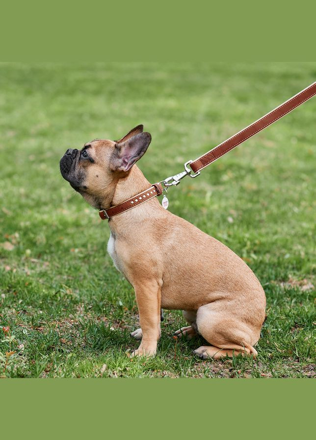 Ошейник для собак кожаный Soft с QR паспортом, металлические украшения, Ш 20 мм, Длин 30-39 см коричневый WAUDOG (322002330)