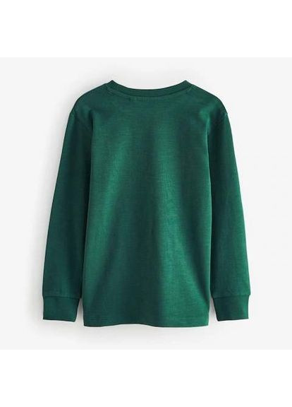 Разноцветный демисезонный лонгслив Next Trend