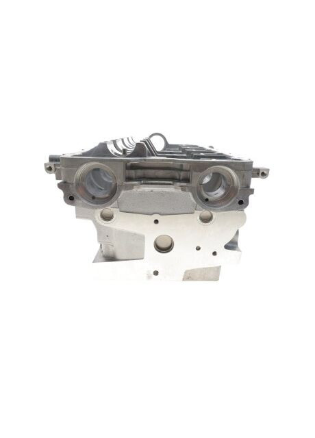 Головка блоку циліндрів 908718 AMC (347151384)