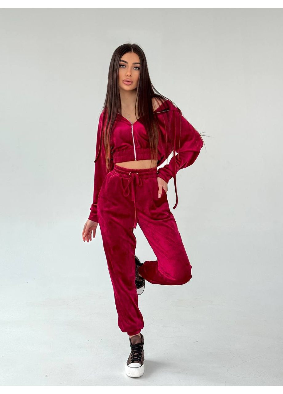Женский велюровый костюм Osoblyva (359889380)