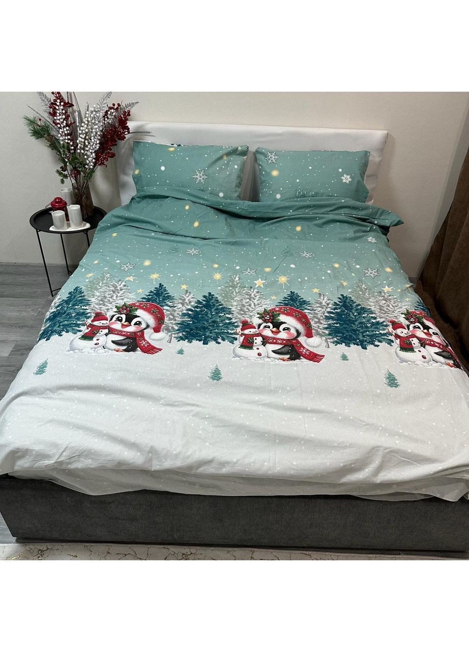 Зимнее постельное белье фланель (байка) двуспальный размер бирюзового цвета – мягкость, тепло и новогоднее настроение! No Brand (370278934)