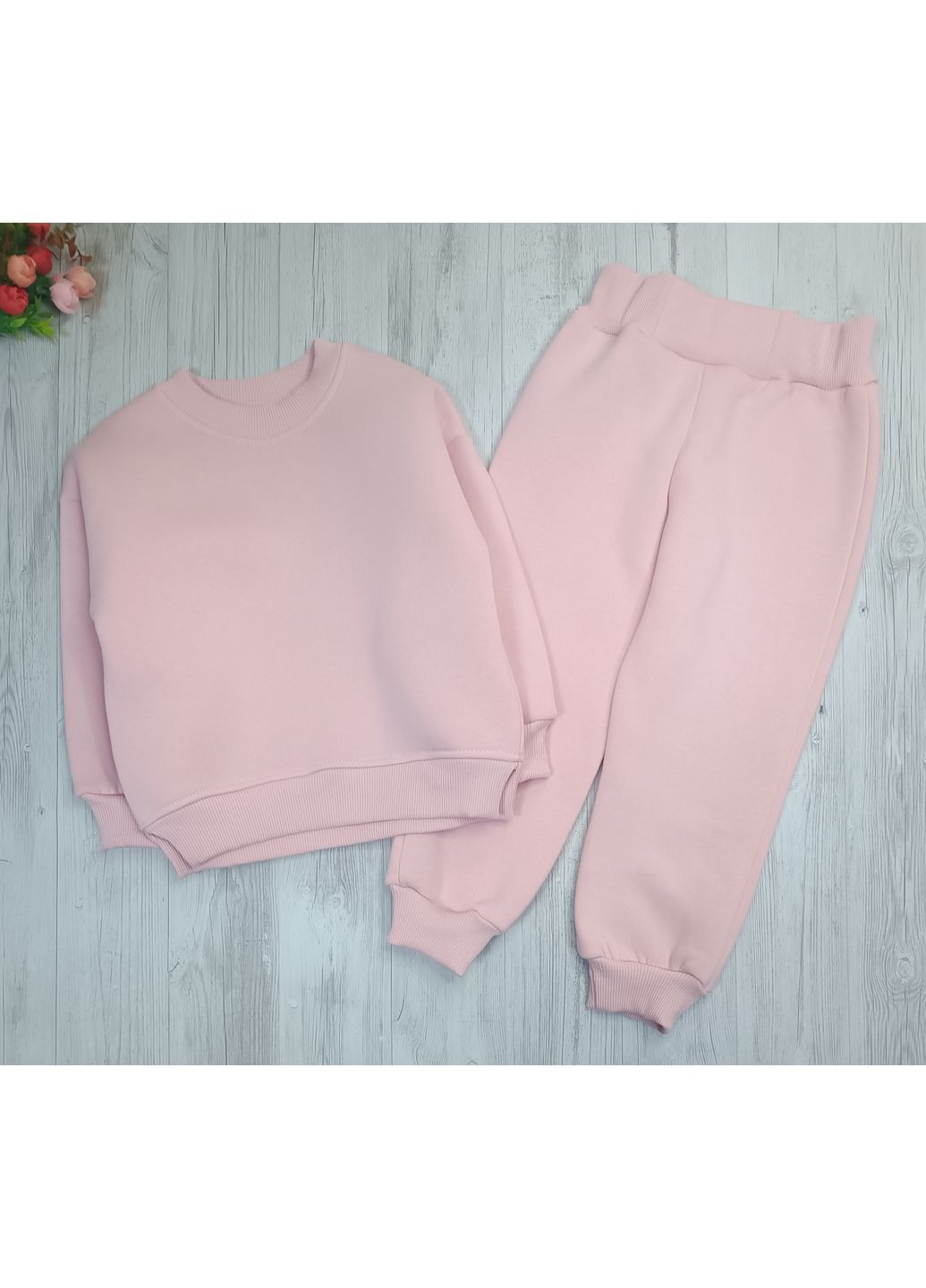 Рожевий зимовий костюм утеплений для дівчинки тринитка на флісі No Brand