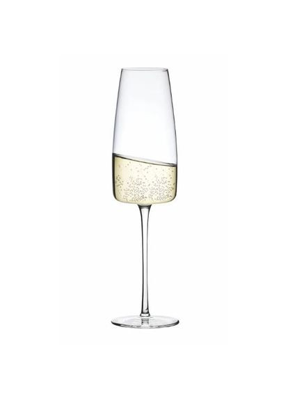 Набор бокалов для шампанского 340 мл/6 шт Lord 7023 0 340 Rona (280897899)