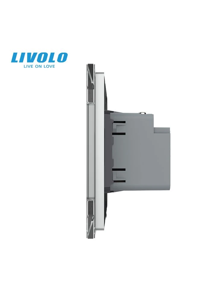 Розетка USB Type-C з Power Delivery 45W (VL-C7-FCUC-2IP) Livolo (375457211)