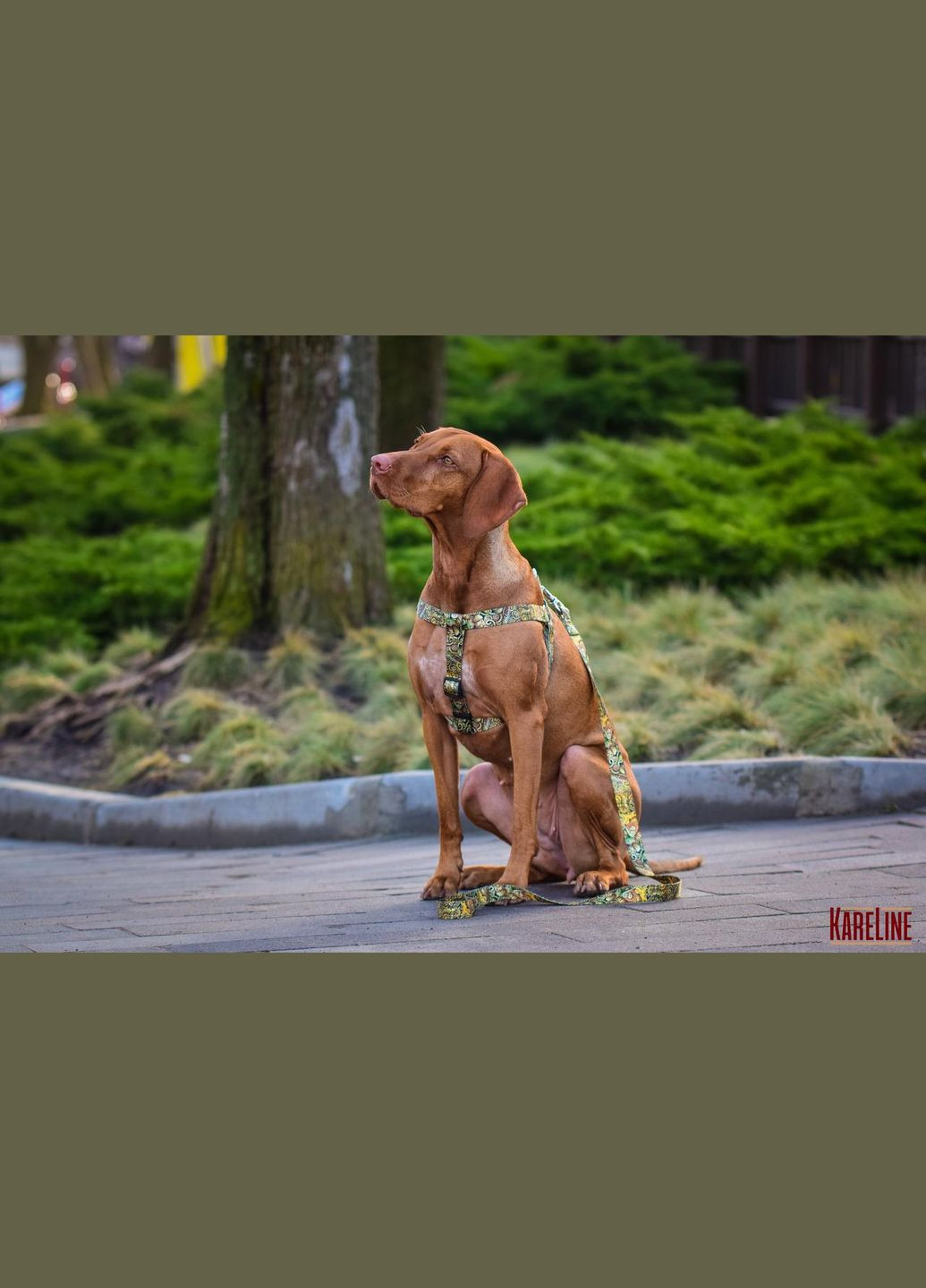 Шлей из нейлона с узором "AFRO" и пластиковой пряжкой 25 мм А:500-680 мм, В:500-720 мм Kareline (339075587)