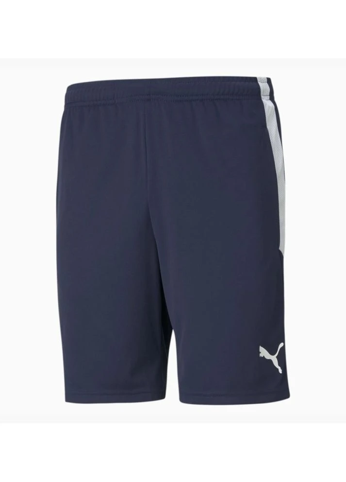 Шорти Teamliga Training Shorts Blue 657249-06, Цвет Синий, Размер (Европа) - L 657249-06 Puma (387873066)