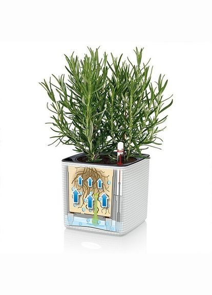 Комплект Green Wall Home Kit Color 48х6х14 см білий 13398 Lechuza (316626870)