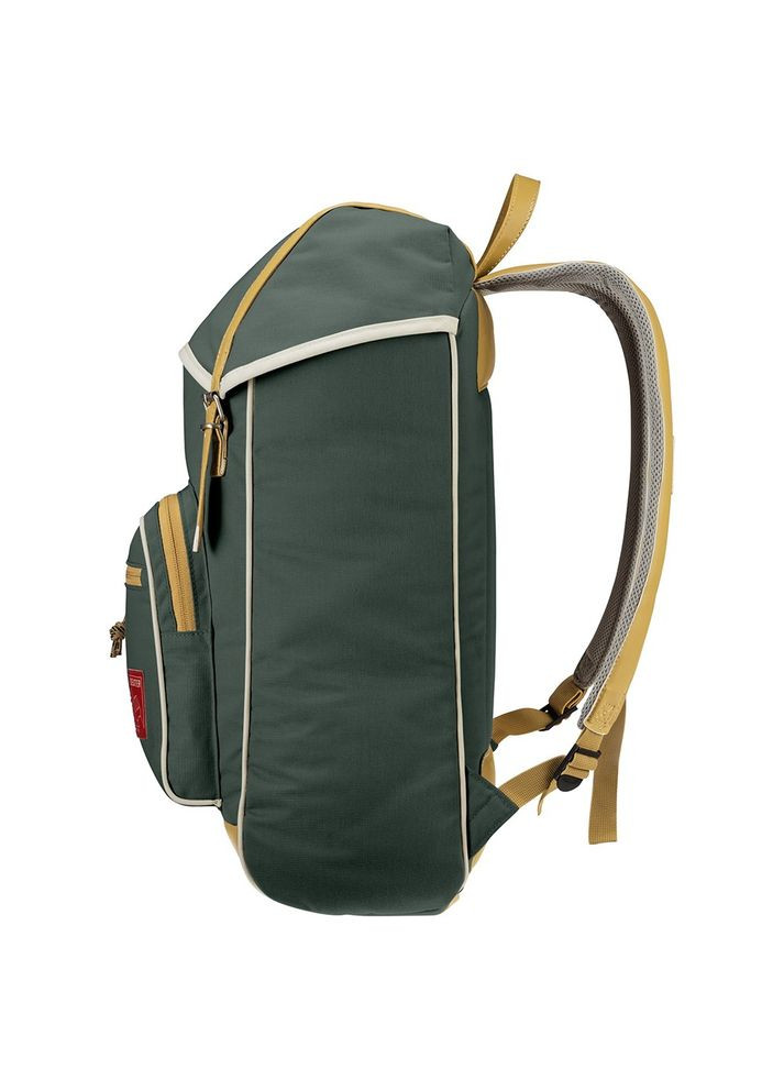 Рюкзак Innsbruck 22 л ivy - caramel 3814022 2613 Deuter (318434927)