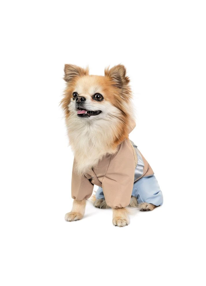 Дождевик Tina L девочка 4823082435180 Pet Fashion (386783010)