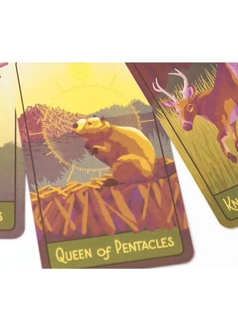 Карти Таро Тихоокеанського Північно Западу The Pacific №rthwest Tarot (368770737)