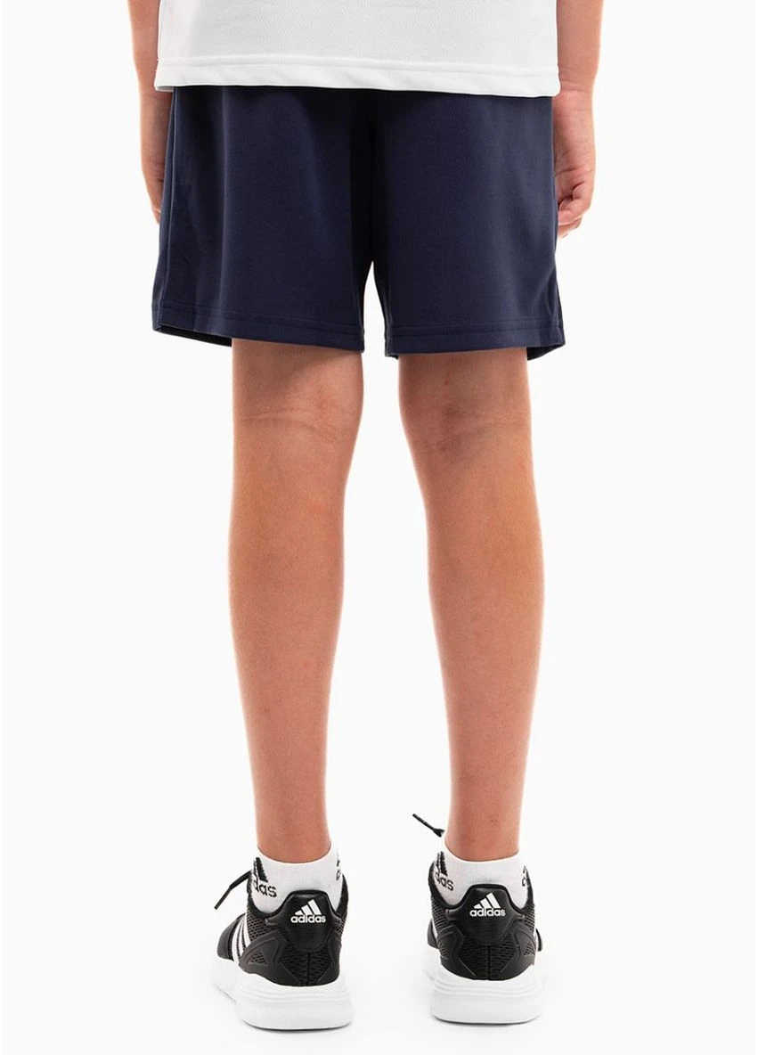 Шорти Teamrise Blue 704943-06 Puma (399374346)