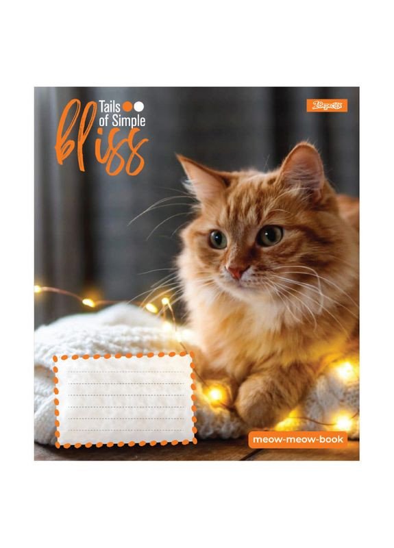 Тетрадь 12_л. КОСА линия " "/ Bliss 1 Вересня (344585682)