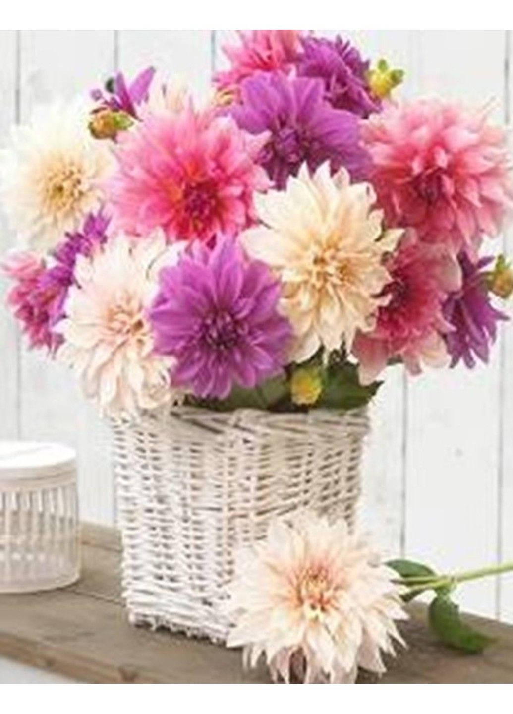 Набор Алмазная мозаика вышивка Букет Георгин на подрамнике полная 5d 40х50 No Brand (332208241)