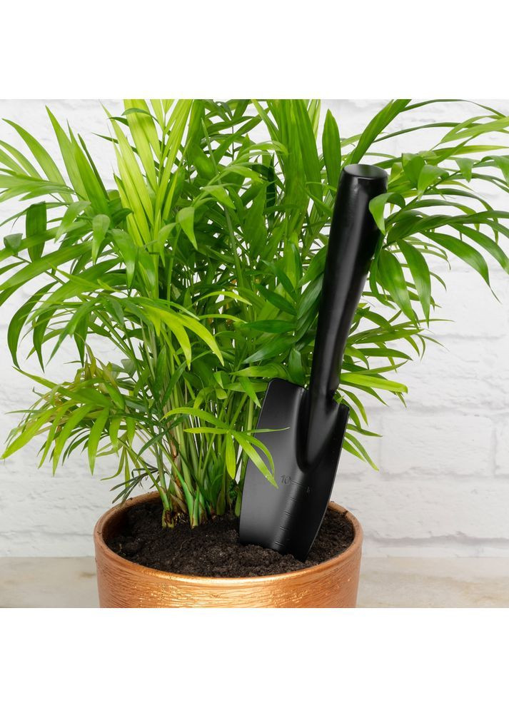 Лопатка садова вузька (300/60 мм) Shuang Song (367984473)