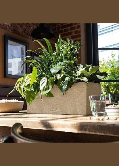 Вазон Balconera Stone 50 графітово-чорний 15652 Lechuza (316615905)