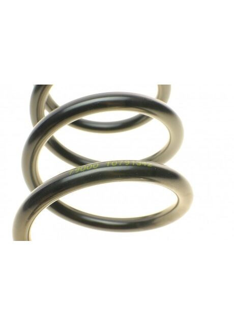 Пружина (задняя) Ford Mondeo 1.8-2.2TDCi/2.3/2.5 07-15 (унив.) (без с-ми рег.дор.просв.) 4227609 (opt-om) Lesjofors (367831004)