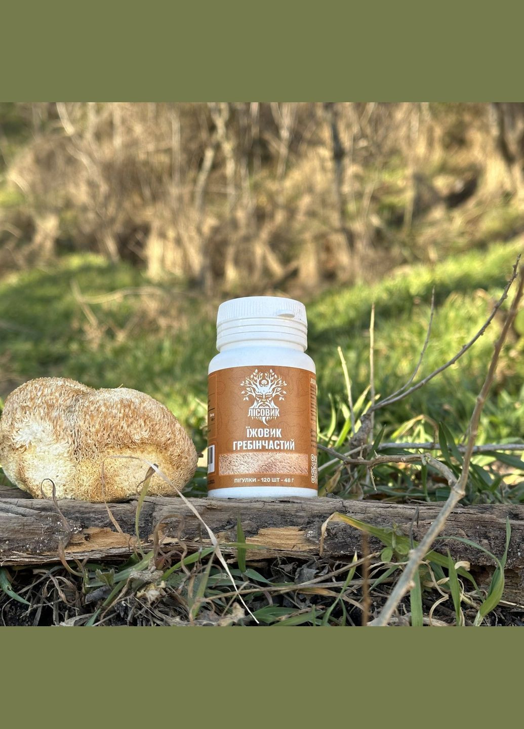 Ежовик гребенчатый в таблетках 120 шт по 0,4 г Лісовик (334292950)