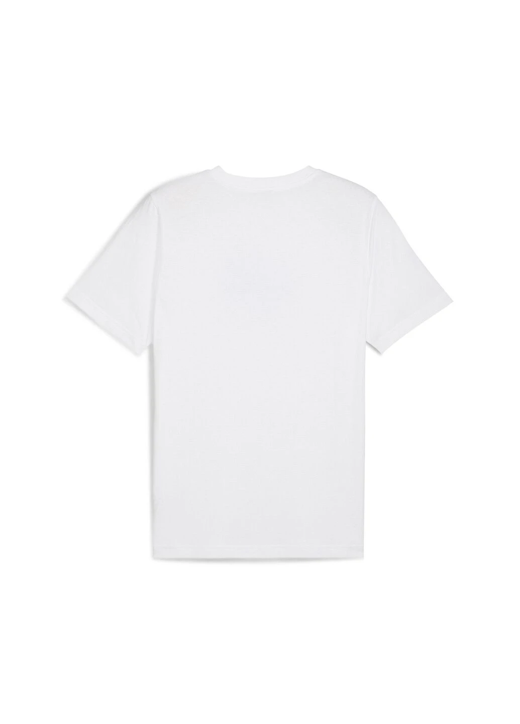 Футболка Palm Resort Graphic Tee Men Puma (317319214)