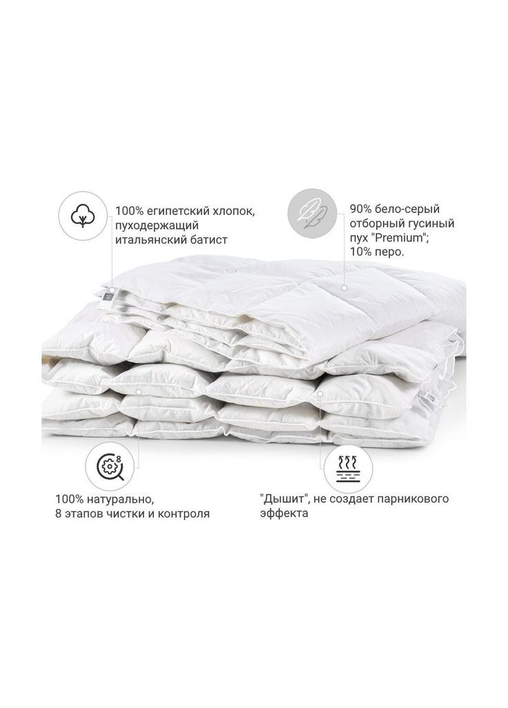 Одеяло пуховое Raffaello 051 деми 172x205 см (ek43715) Mirson пуховое Raffaello 051 деми 172x205 см (392406987)