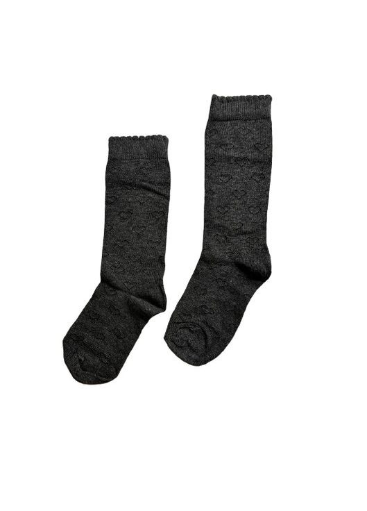 Шкарпетки Primark (289456227)