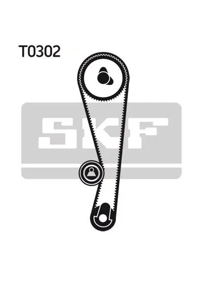 Роликовый модуль натяжителя ремня (ролик, ремень) SKF (380718002)