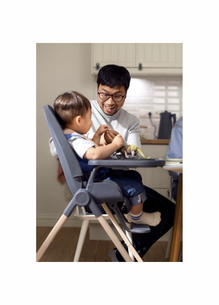 Стульчик для кормления Ava Eco Beyond Grey () Maxi-Cosi 2040052110 (336146170)