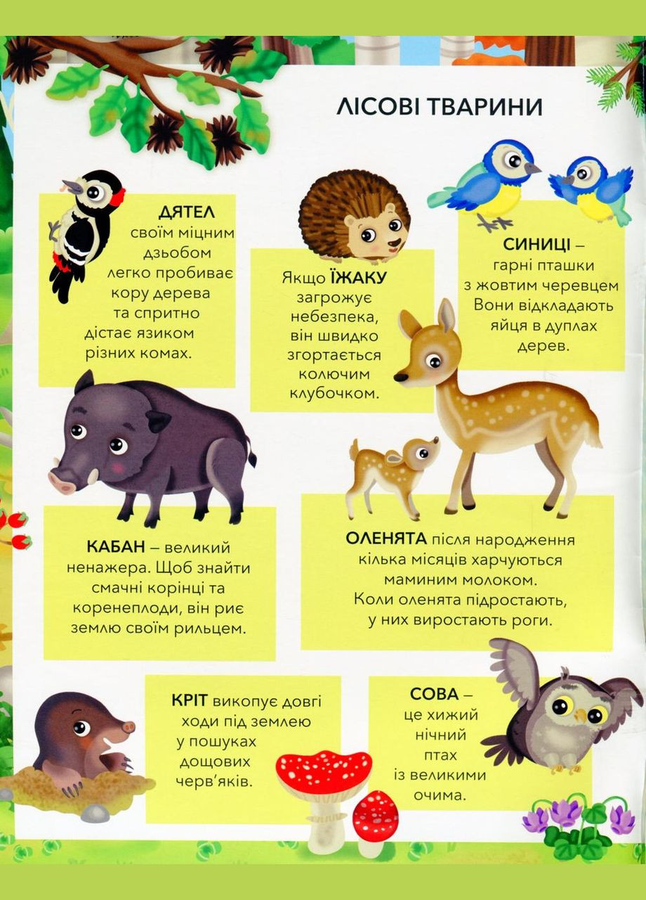 ЗВЕРТЫ В ЛИСЕ Пегас (316384967)