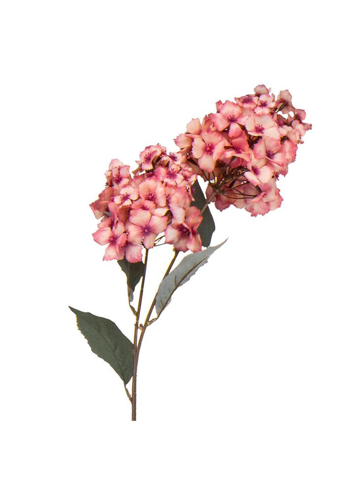 Гортензия "Трепетность" 92 см., розовый ELISEY Гортензія (322248719)