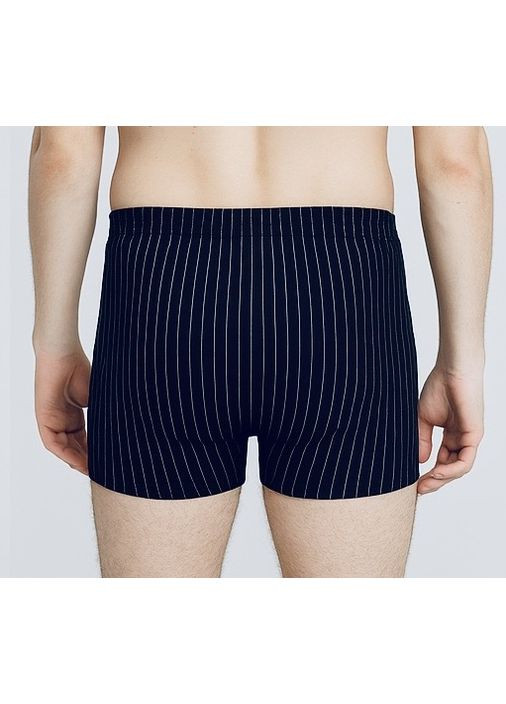 Чоловічі труси-боксери в тонку смужку W – Класика та Комфорт на кожен день Fashion (350935568)