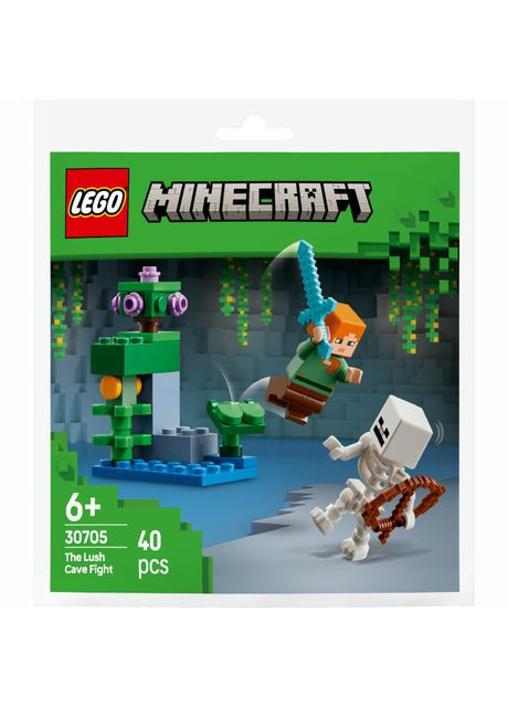 Конструктор Minecraft Бій в печері з хащами (30705) Lego (369941035)
