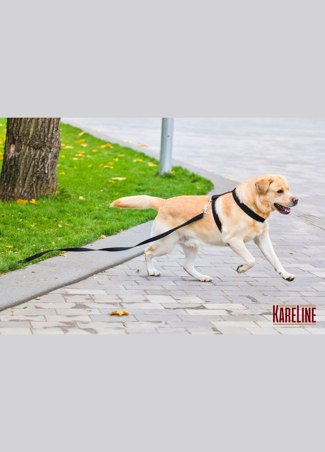 Поводок из брезента со специальным карабином 25 мм 1500 мм Kareline (339075612)