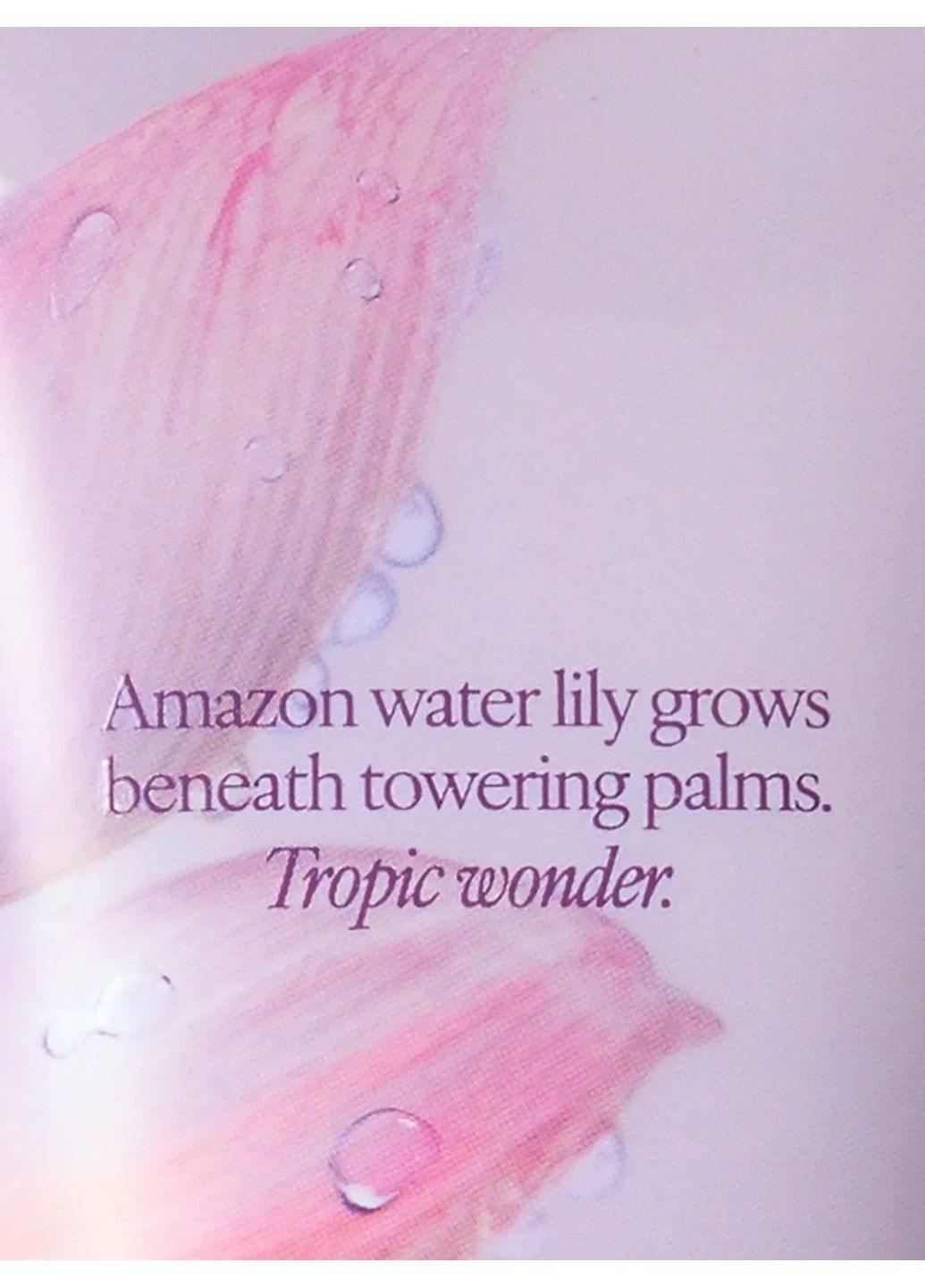 Лосьон для тела Lush Starfruit Lotus Fragrance Lotion Victoria's Secret (355267023)