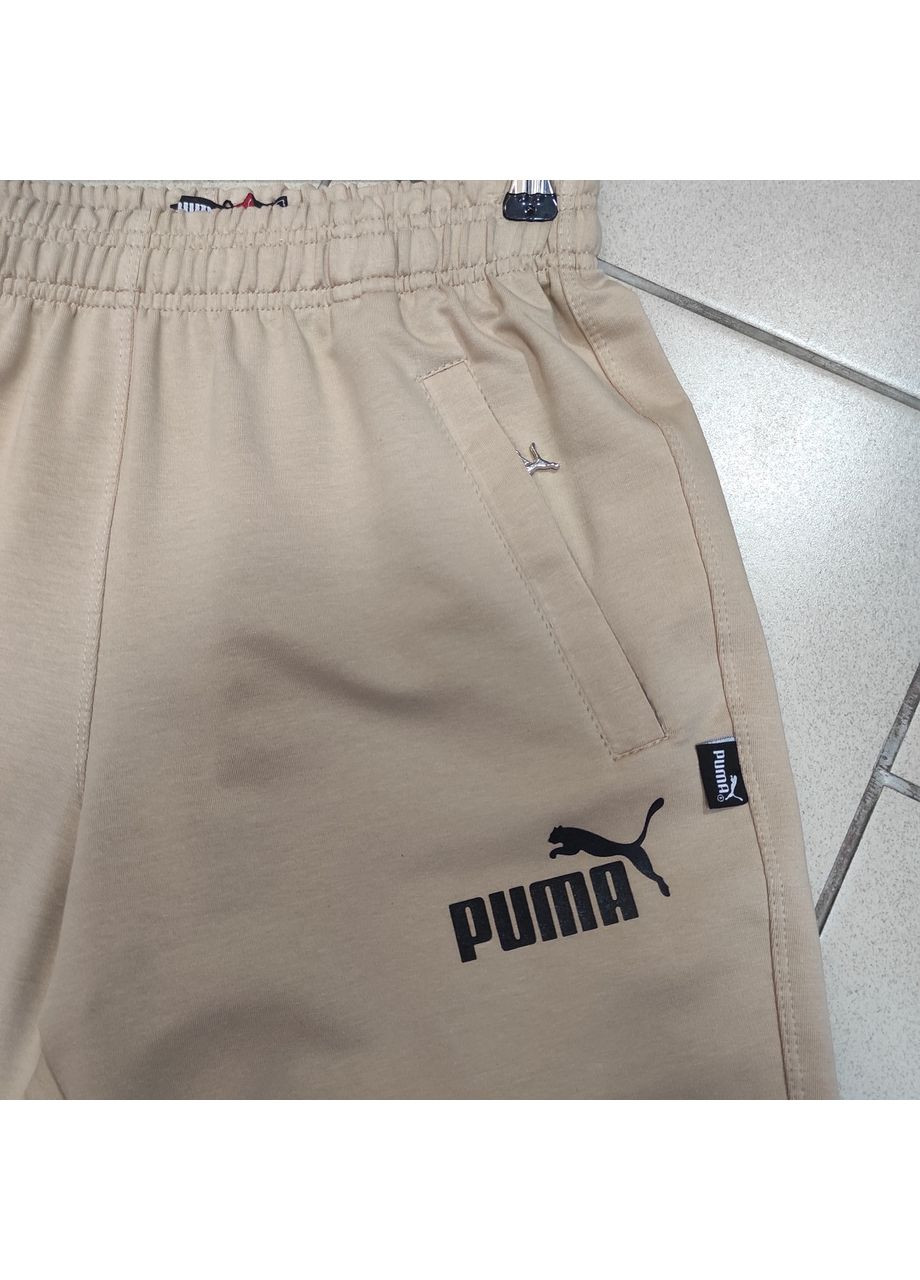Чоловічі спорт штани Пума двонитка беж Puma (350349689)