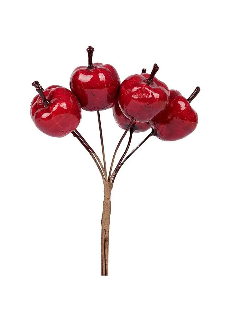 Ветка декоративная Яблоки 973928 22 мм 6 шт красная Yes (369345464)