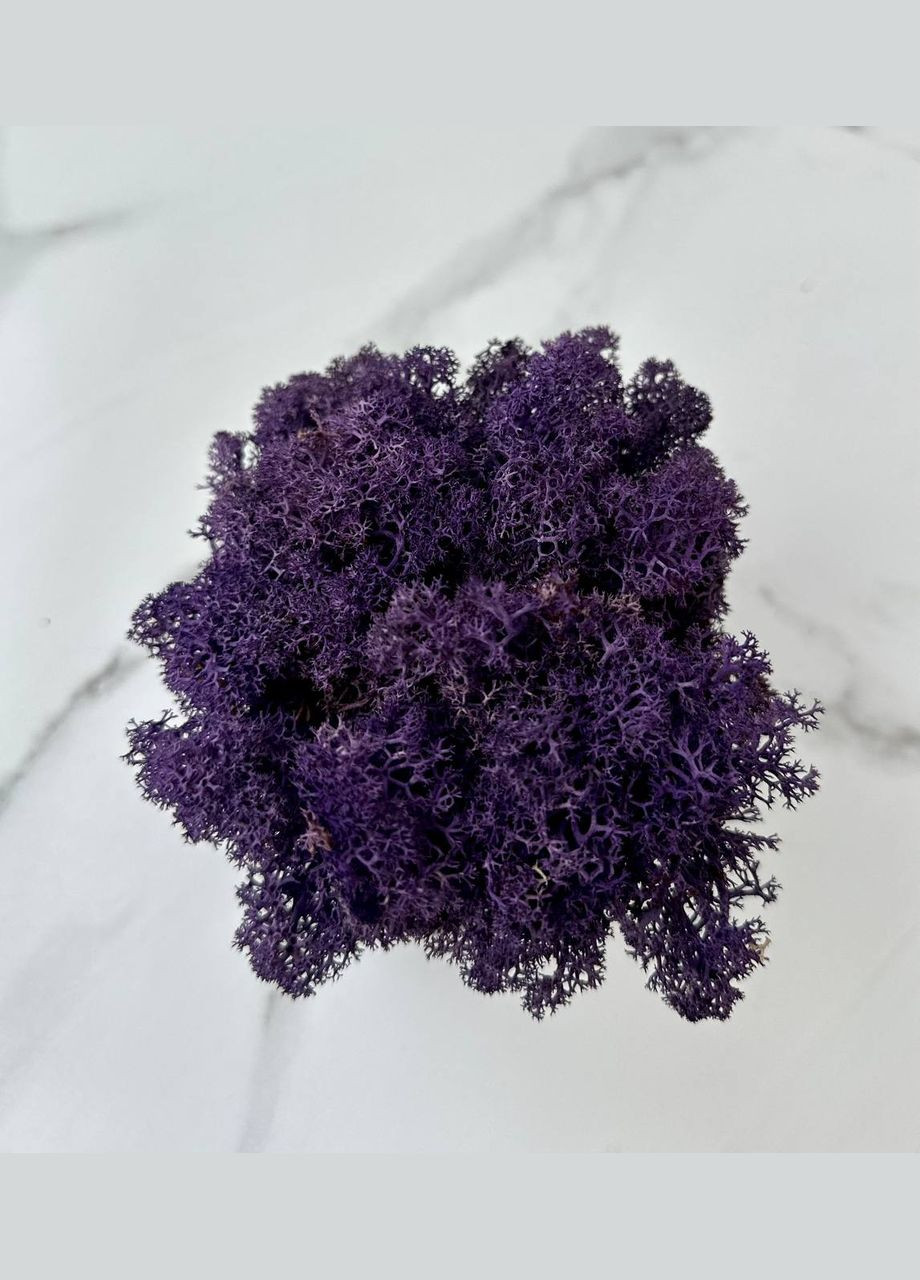 Стабілізований Норвезький Мох (Ягель) 1 кг. – Purple No Brand (302520158)