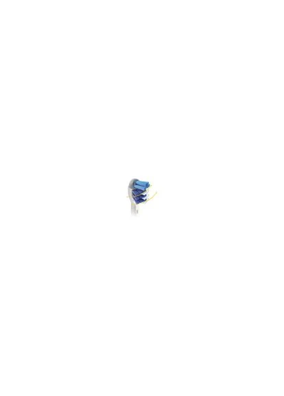 Насадка на зубную щетку OralB ToothBrushes sb30-4 (Тризоне) No Brand (305844620)