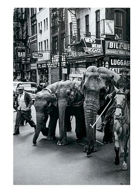 Marvin E. Newman. Art Edition № 76-150 'Broadway, Believe It, 1958' Taschen (392245339)