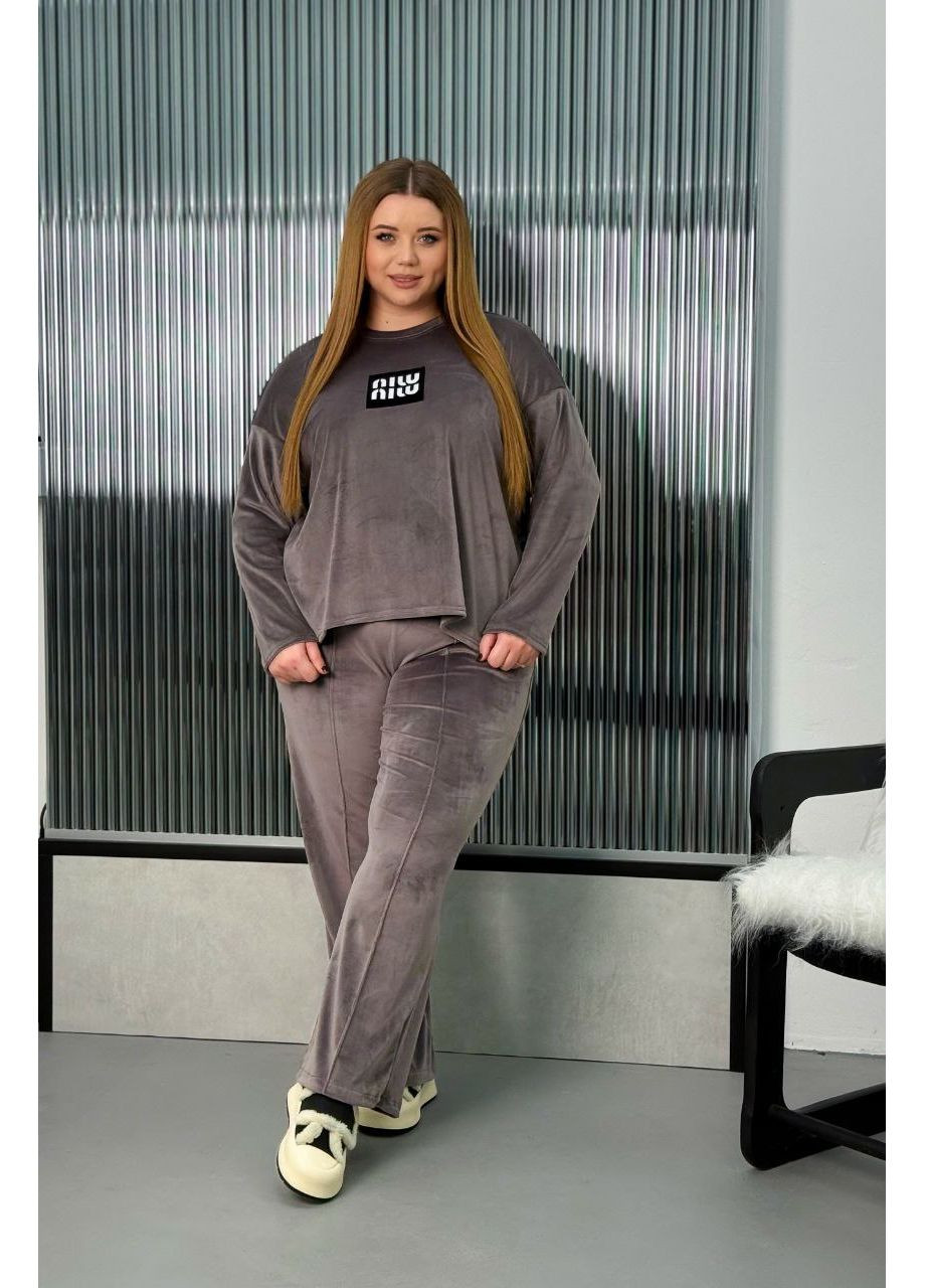 Прогулянковий костюм оверсайз із велюру (ЗАМІРИ В ОПИСІ) DK/DL Мода без кордонів (369326980)