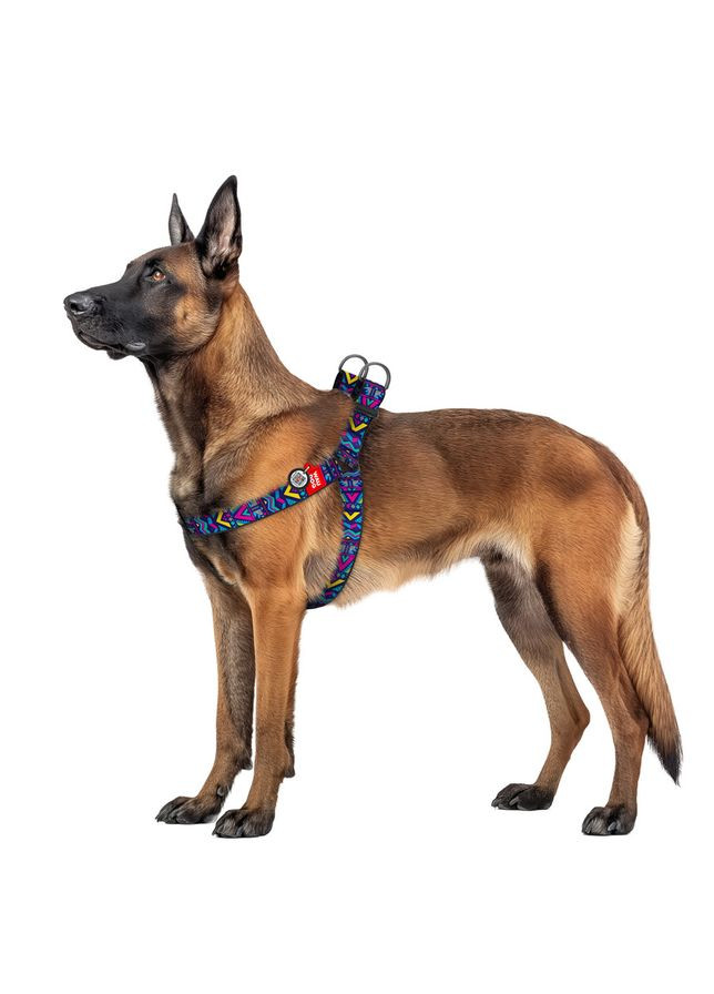 Шлея для собак WAUDOG Nylon з QR паспортом, малюнок "Інді", пластиковий фастекс,, Ш 35 мм, А=В 70-100 см No Brand (363201200)